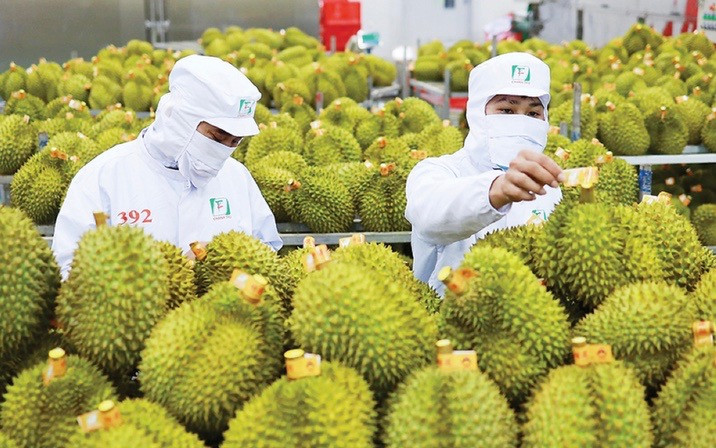 Tiếp đà tăng trưởng xuất khẩu nông sản